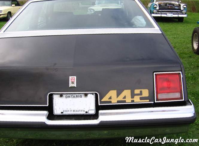 1978 Oldsmobile 442 Aeroback Rear