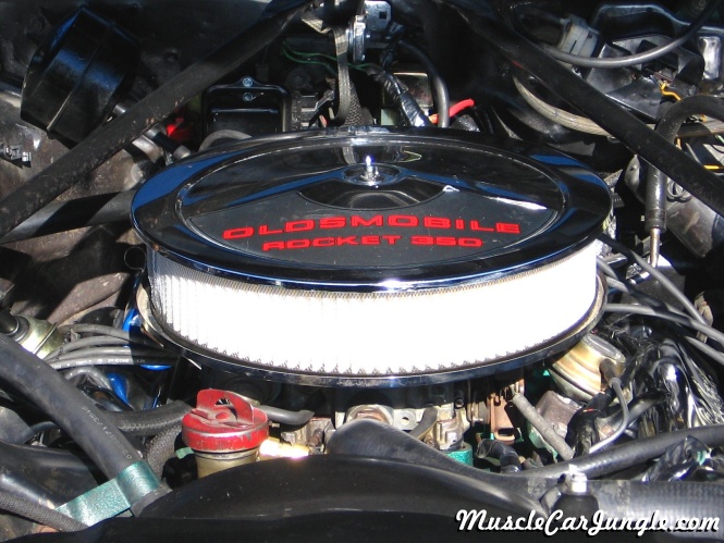 1972 Oldsmobile VIsta Cruiser Air Cleaner