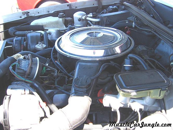 1984 Hurst Olds Engine