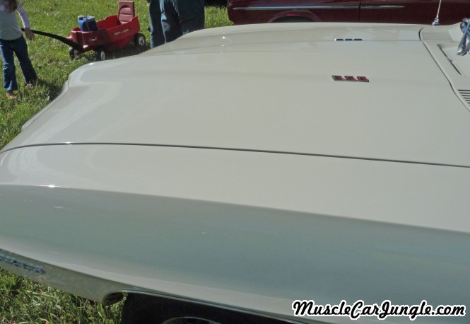 1969 Firebird 350 Hood