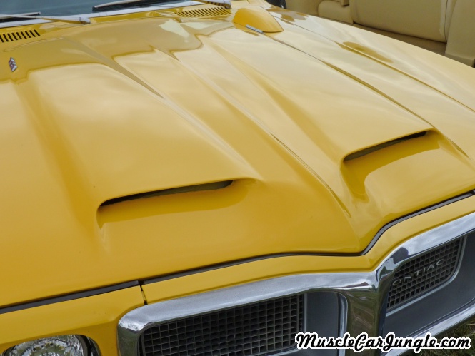 1969 Pontiac Firebird 350 Hood Scoops