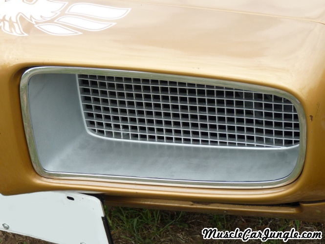 1970 Pontiac Firebird Grill
