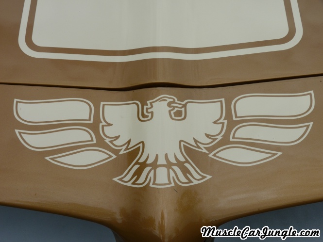 1970 Pontiac Firebird Nose Decal