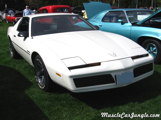 1984 Firebird