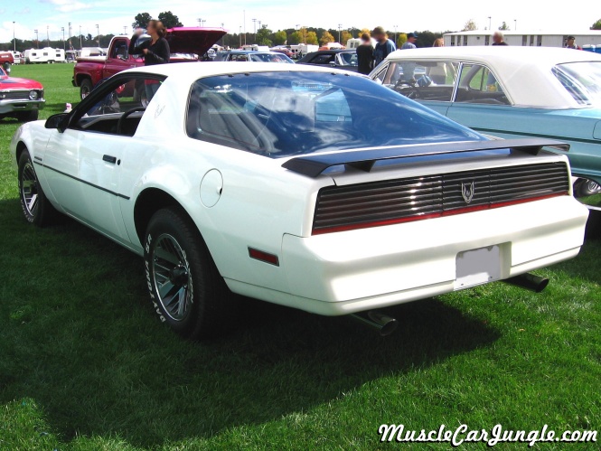 1984 Firebird Rear Left