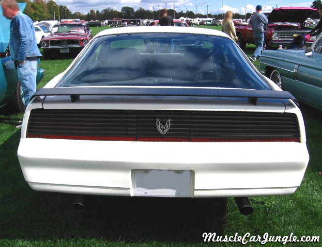 1984 Firebird Rear