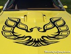 1978 Trams Am 400 Bird Decal