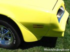 1978 Trams Am 400 Front Fender