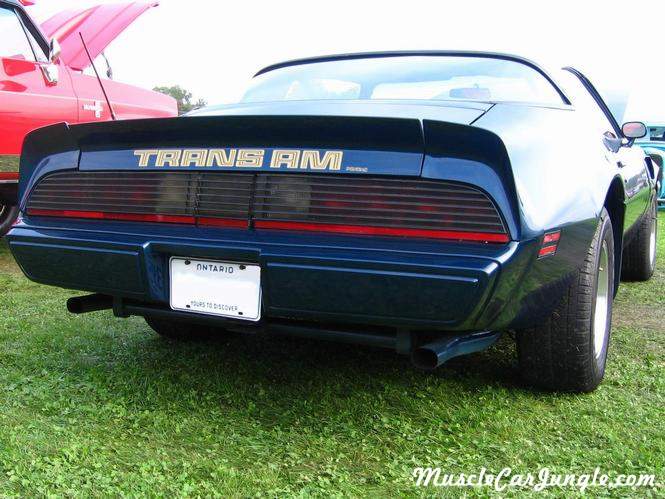 1979 Firebird Trans Am Rear