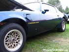 1979 Firebird Trans Am Side