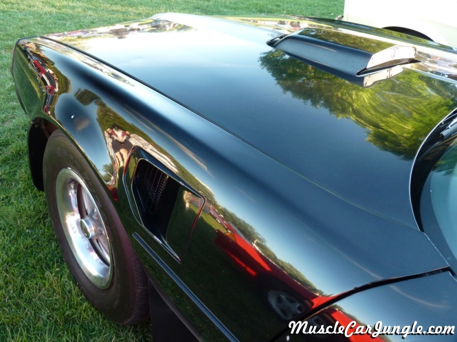 1979 Pontiac Trans Am Front Fender