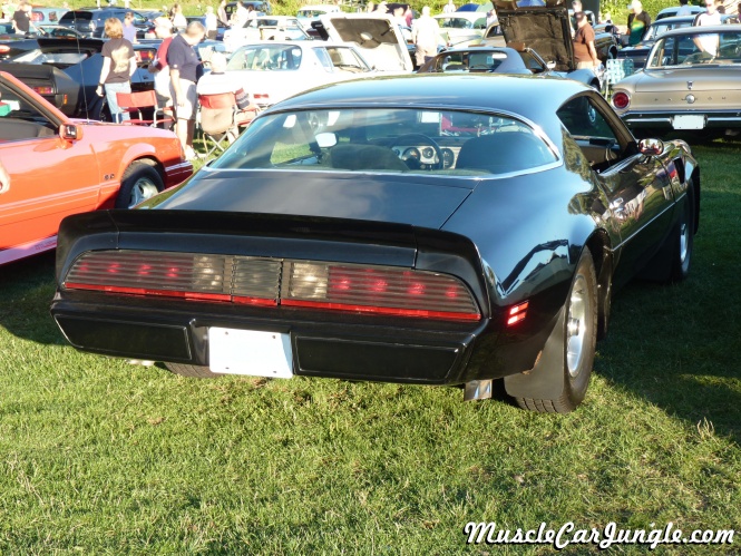 1979 Pontiac Trans Am Rear