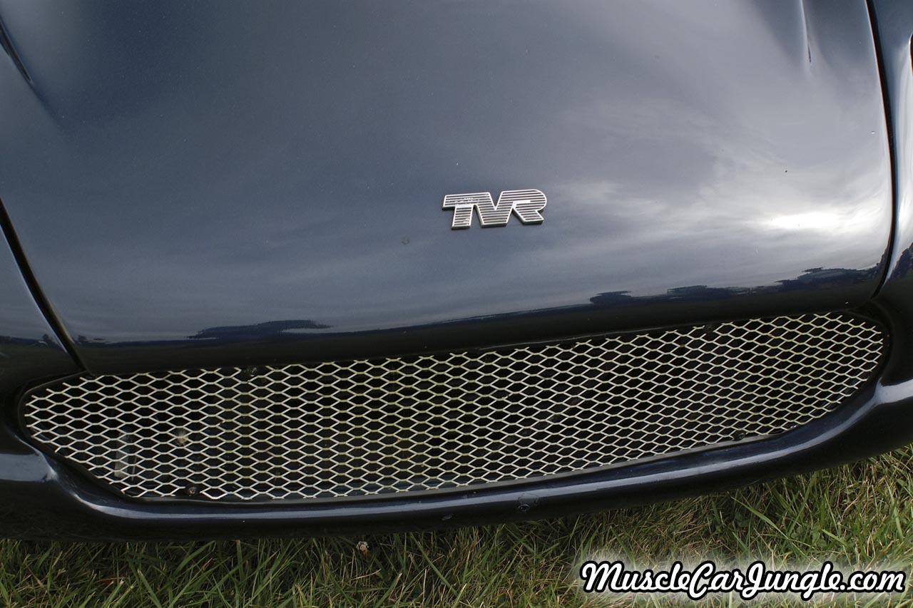 1995 TVR Chimaera Grill